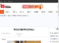真实女友攻略(真实女友好玩么)-CBI游戏天地