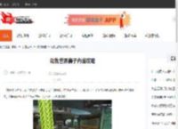 动物世界狮子内战攻略-CBI游戏天地