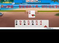 JJ记牌器 - 智能辅助工具，助你轻松掌握牌局