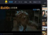 电影《我会好好的》发布“养宠实录”正片片段_高清视频在线观看_电影网