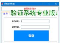 验证系统专业版：企业级安全认证解决方案