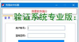 验证系统专业版：企业级安全认证解决方案