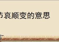 明末长枪怎么玩-明末渊虚之羽长枪无限控制流-游侠网