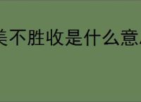 下一站江湖2双修府怎么加入-下一站江湖2双修府加入方法_游侠手游