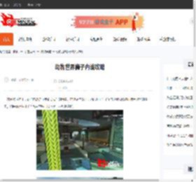 动物世界狮子内战攻略-CBI游戏天地