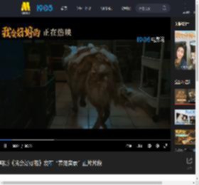 电影《我会好好的》发布“养宠实录”正片片段_高清视频在线观看_电影网